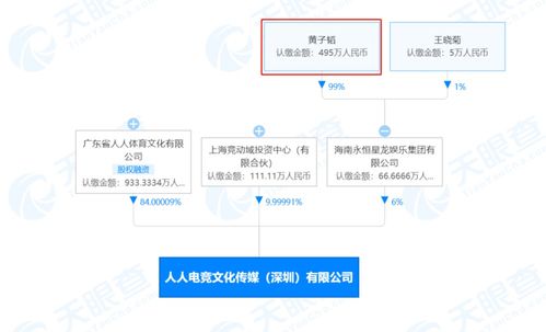 电脑图文设计的艺术与实用全析